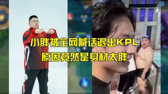 小胖被全网喊话退出KPL,原因竟然是身材太胖