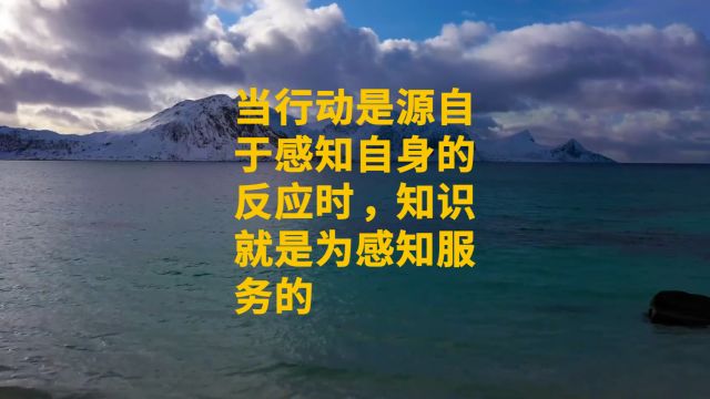 当行动是源自于感知自身的反应时,知识就是为感知服务的