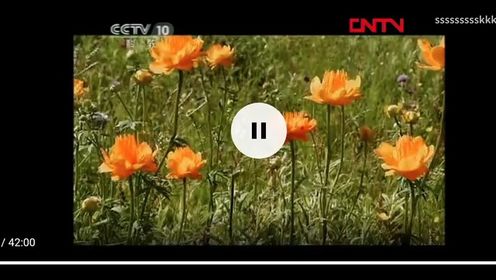 20111111CCTV10科教频道自然传奇结束后的节目预告