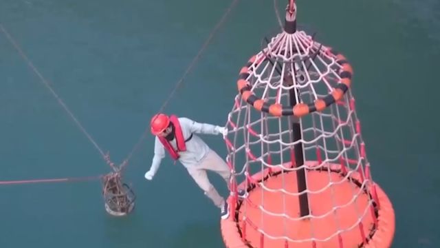 水上发电,水下养鱼!海上风电挺进深蓝,全球首座风渔融合浮式平台投产发电