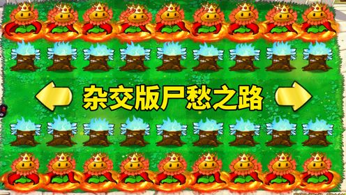 植物大战僵尸：杂交版尸愁之路，哪个僵尸能挑战成功？_高清