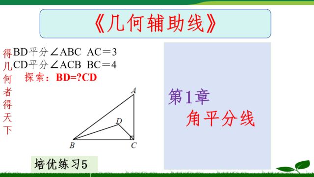 第1章1.46角平分线