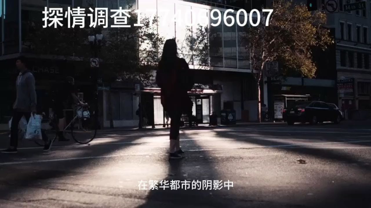 追踪者(追踪者游戏)