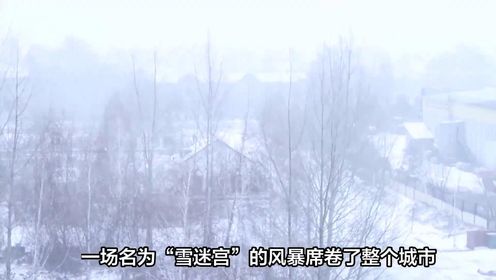 《雪迷宫》大结局：郑北做梦没想到，警方内部有内鬼，不是张雪瑶