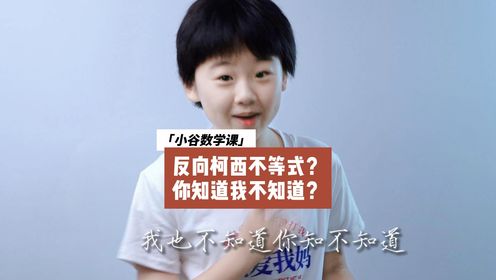 反向柯西不等式？不只是你不知道我不知道，我自己也不知道我知不知道，（这是剪发后拍摄的第一条分享题的视频）