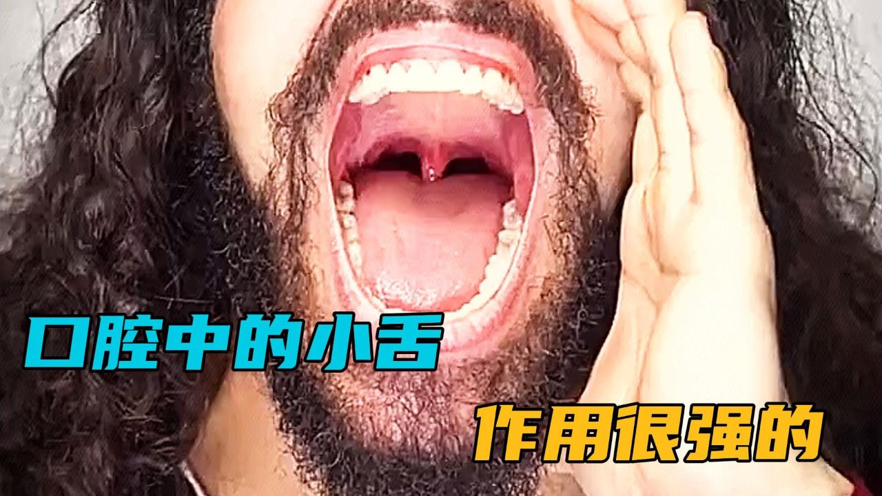 口腔中的小舌,你知道它的作用是干什么的吗?_高清1080P在线观看平台_腾讯视频