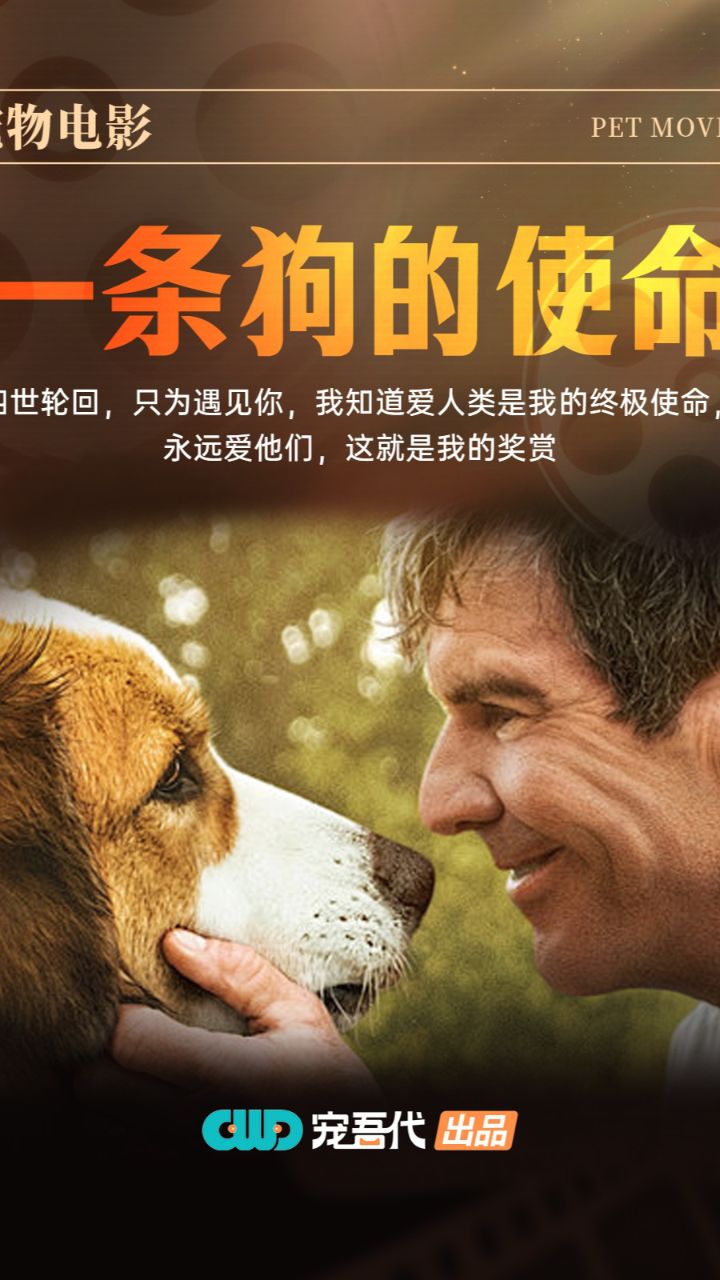 一条狗的使命2_高清