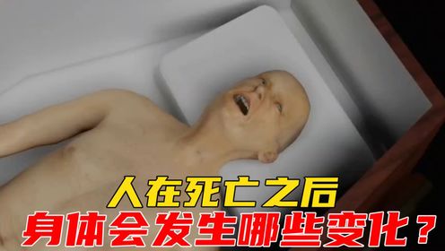 腾讯视频