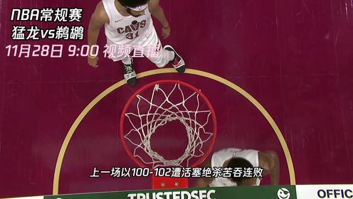 《NBA全场集锦》11月28日视频直播猛龙vs鹈鹕 两队皆寻求反弹谁将一扫颓势