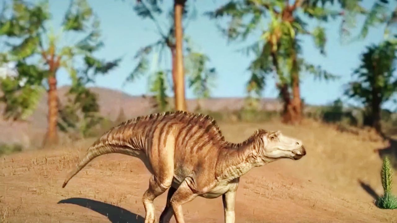 慈母龙_12_高光片段