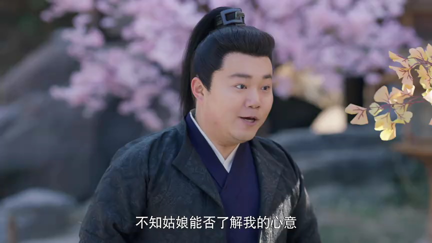 春来定风波 21集