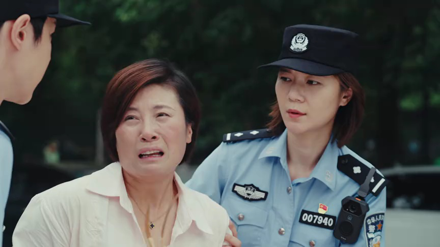 警务室的故事 4集