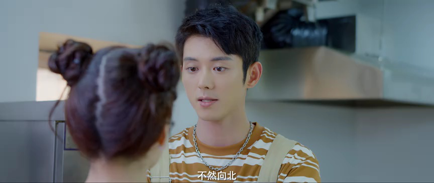 向北的遗憾 13集