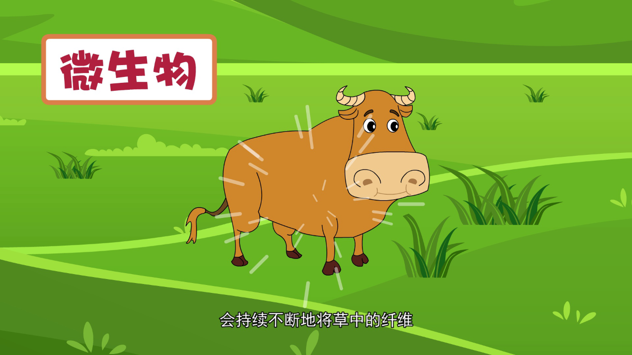 猪多多之十万个为什么（一） 5集