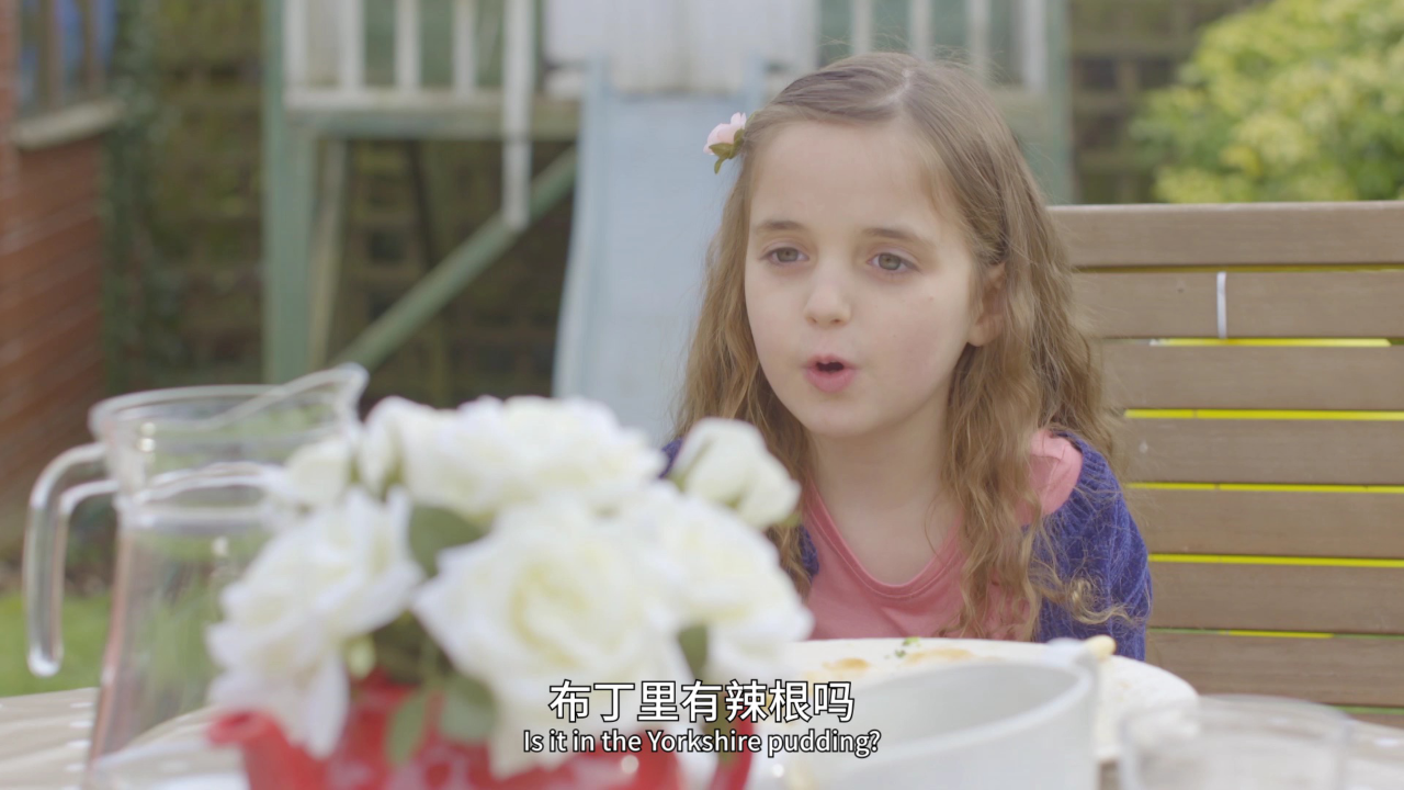 我的厨房天地 第二季 英文版 2集