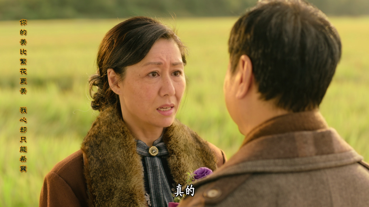 巾帼枭雄之悬崖[粤语版] 25集