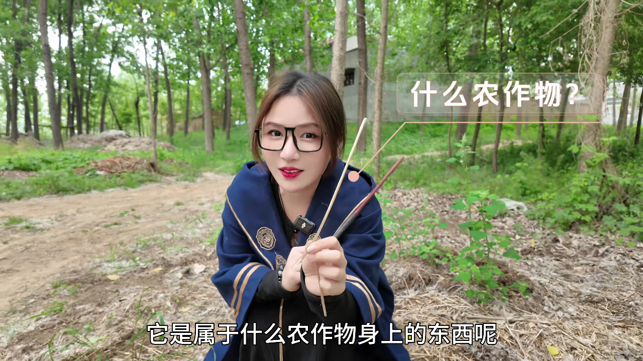 尼可姐姐的玩具屋 6集