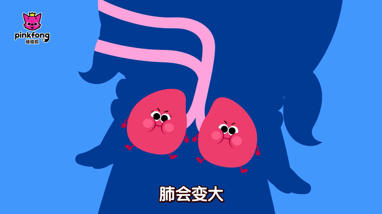 碰碰狐儿歌之认知探索 16集
