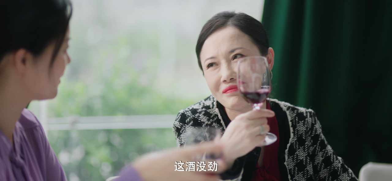 令总无恙 24集