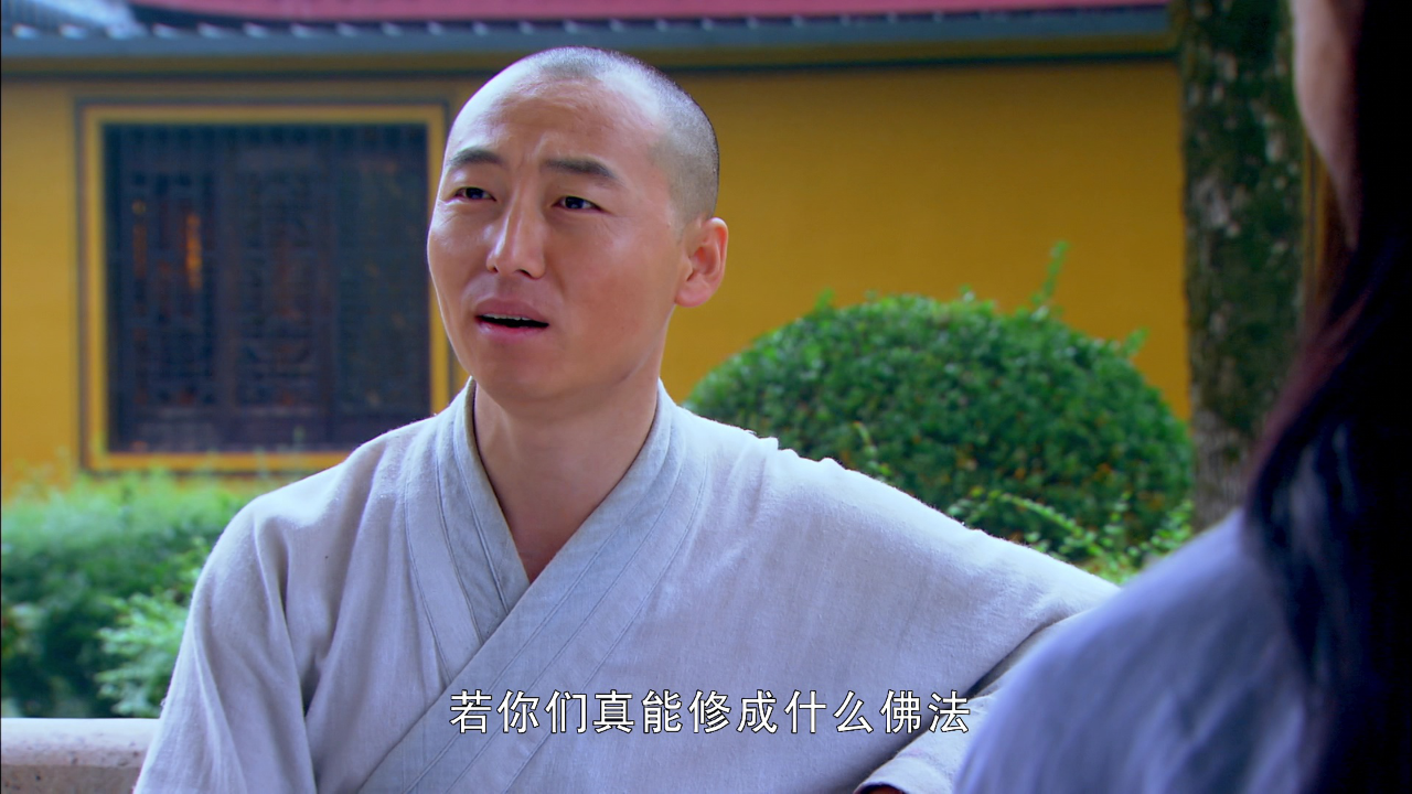 一代禅师 15集
