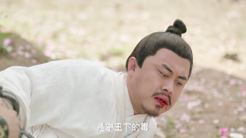 机智的公主殿下 4集