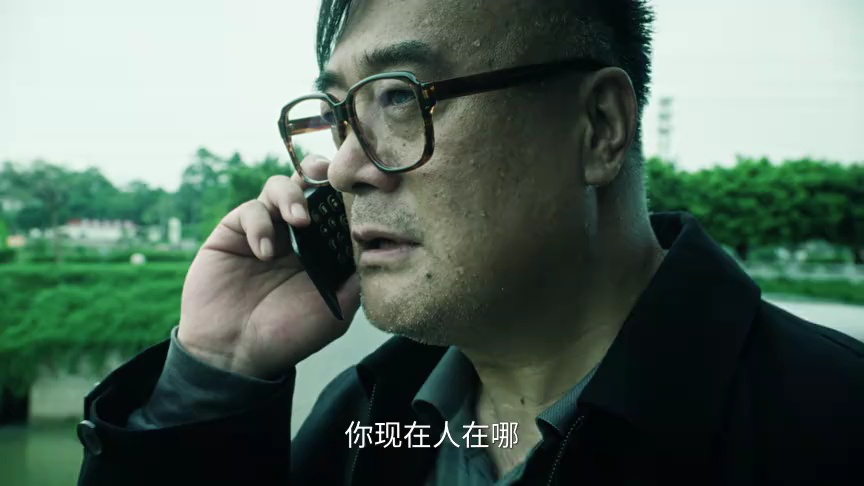 扫毒风暴 13集