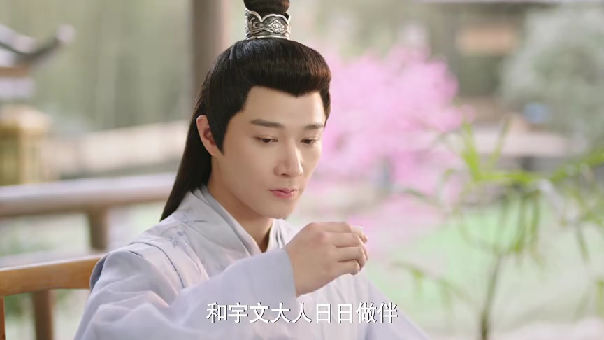 机智的公主殿下 13集