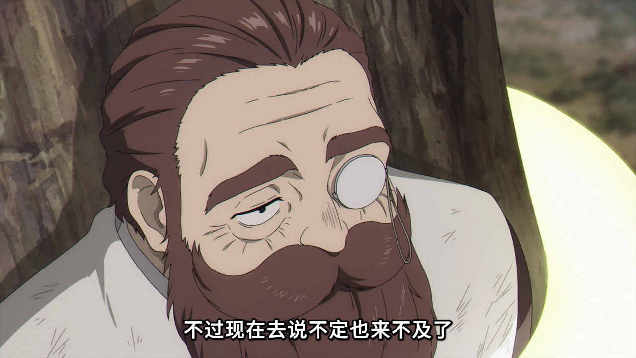 葬送的芙莉莲[普通话版] 21集