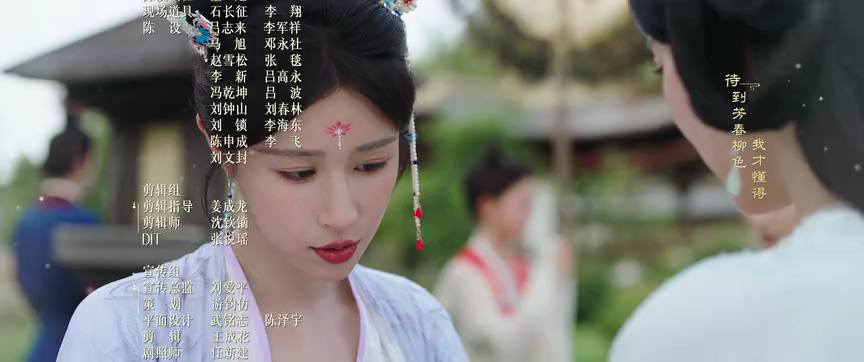 进阶的王妃 9集