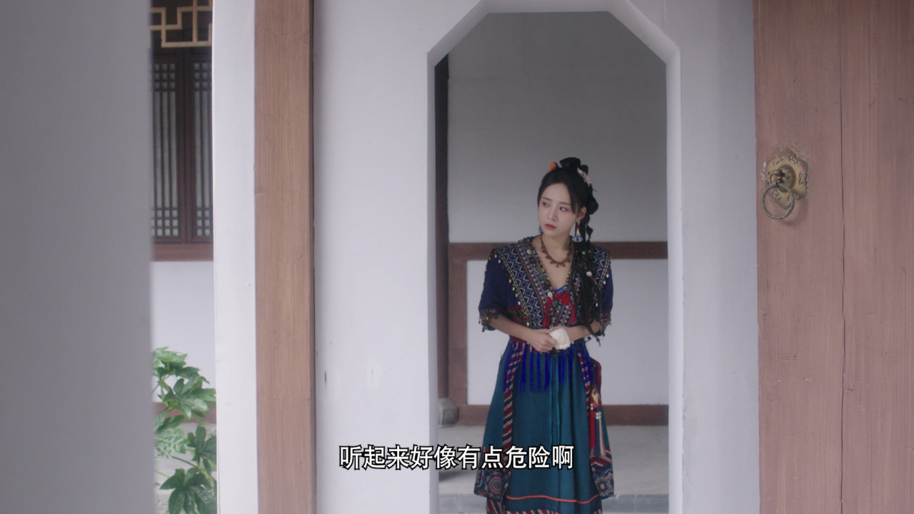 焚心 6集