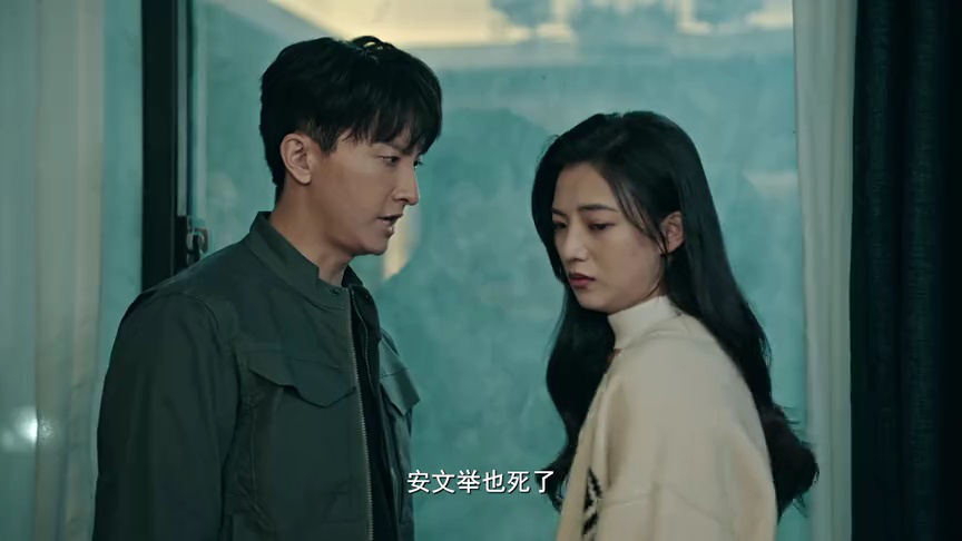 乱码迷局 12集