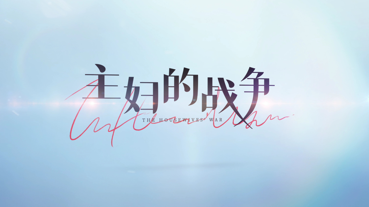 主妇的战争 14集