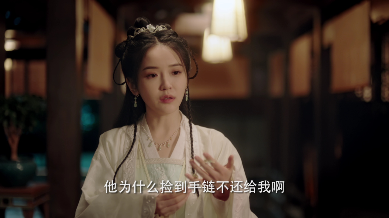 陆昭昭的刺客笔记 12集