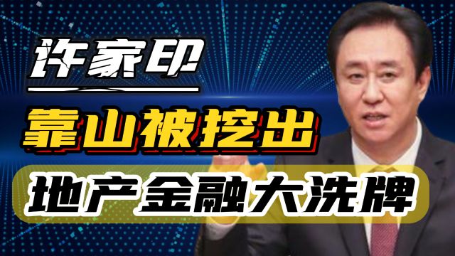 许家印落网,靠山被挖出,揭露金融与房地产的深度危机及其影响!