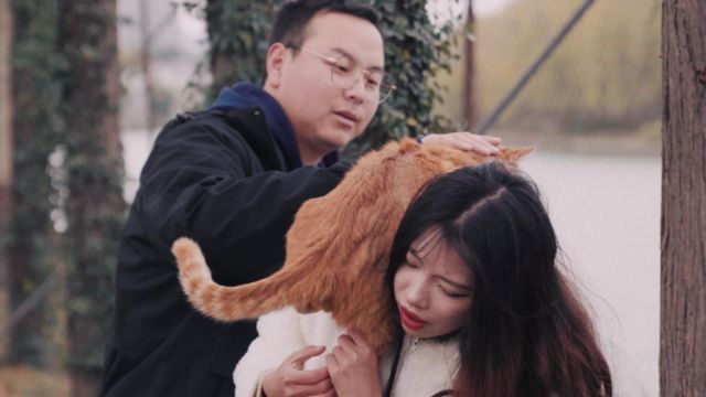 找回走丢的猫有多激动?00后为感谢管家帮忙抓猫送“找猫圣手”杯