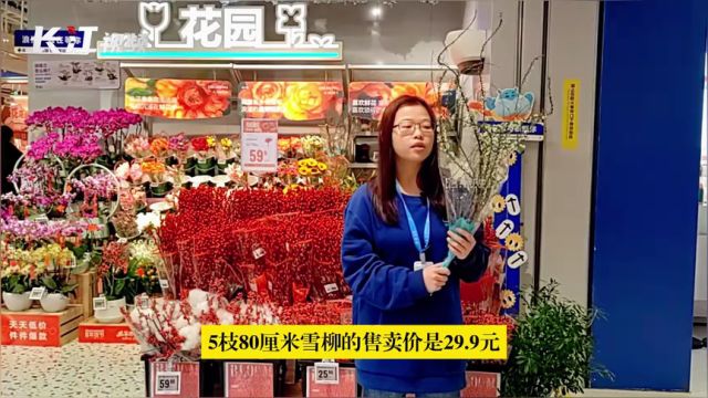 年宵花热卖,湖北雪柳日销8万枝