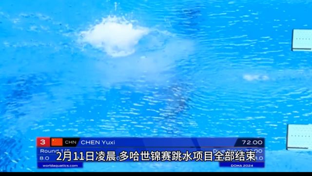 世锦赛跳水项目结束!中国梦之队9金4银完美收官