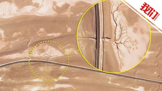 卫星视角看“天空之树”:流水冲刷大地形成大裂谷宛如大树镶嵌地上十分震撼