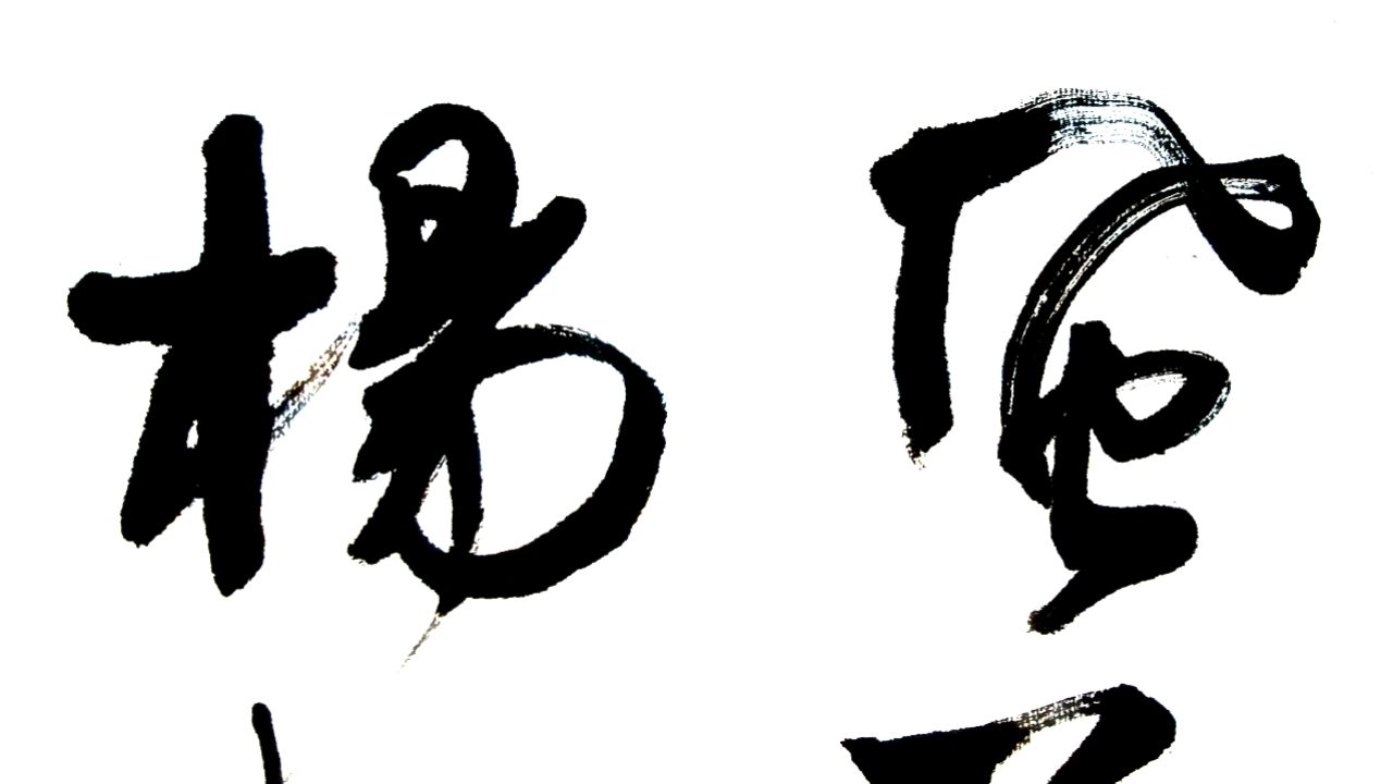 每日书法:名诗名句"楼上春风过,风前杨柳歌"