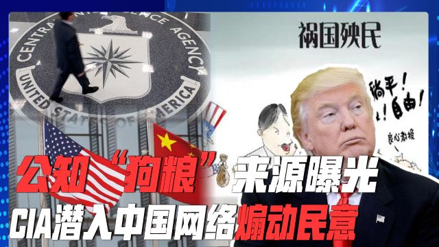 特朗普亲自下令,CIA潜入中国网络,恶意煽动民意,打响秘密战争