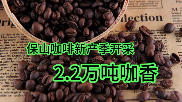 2.2万吨咖香的背后