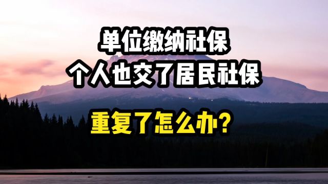 单位缴纳社保,个人也交了居民社保,重复了怎么办?