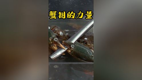 腾讯视频