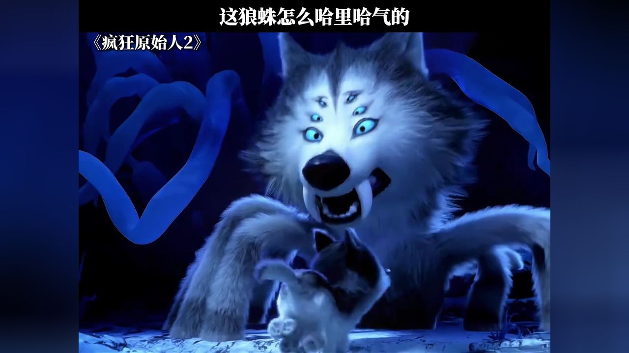 这狼蛛怎么哈里哈气的 #疯狂原始人2 #鹅滴神片