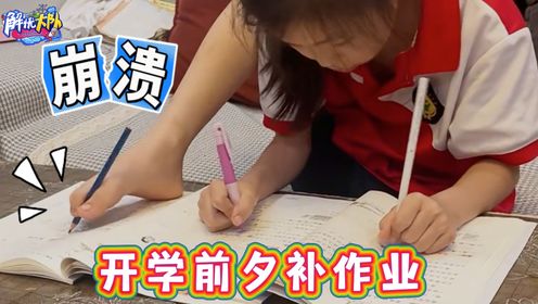 开学前夕补作业，急的精神快分裂_高清1080P在线观看平台_腾讯视频