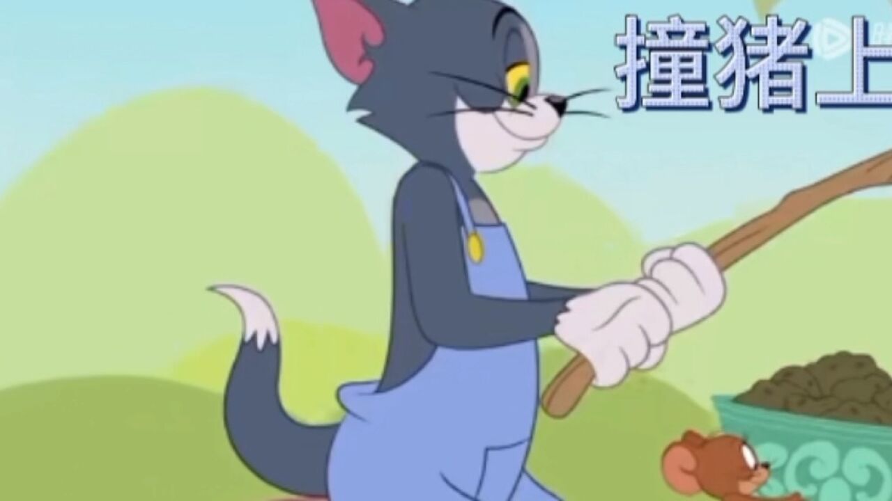 猪撞树上你撞猪上了吧_高清1080P在线观看平台_腾讯视频