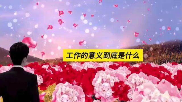 姐姐【总公司的同事都等着看弟弟的笑话!】你会支持弟弟努力吗?