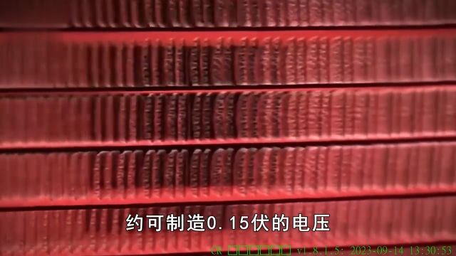 电鳗放出的800伏电压可杀死鳄鱼,它如何发电?为何电不死自己? 2