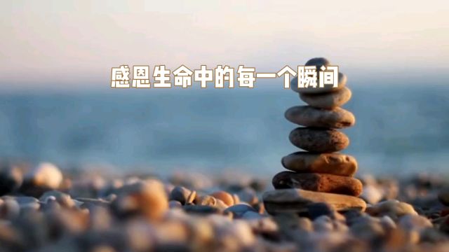 以宽容慈悲为中心,感受生活中的美好与善良