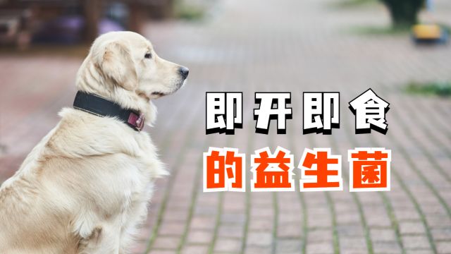 狗狗需要怎么样的益生菌?到底怎么选?